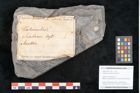 Foto (Objekt + Etikett) von Calamites suckowi Brongniart (NHMW-GEO-2024-0188-11255)